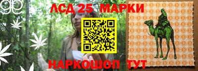 мяу мяу мука Малоярославец