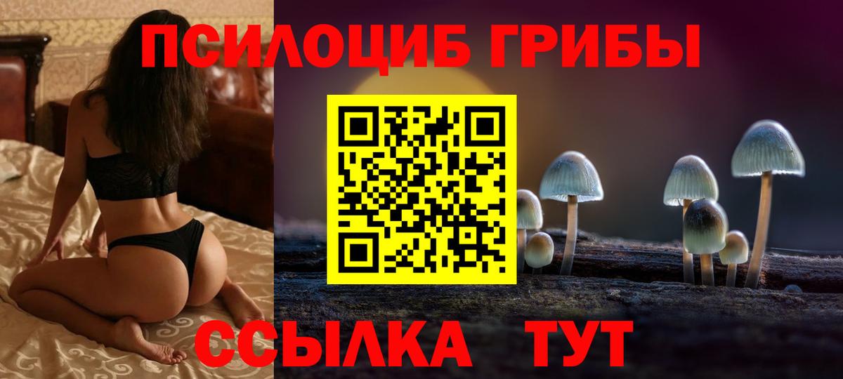 Псилоцибиновые грибы прущие грибы Среднеуральск