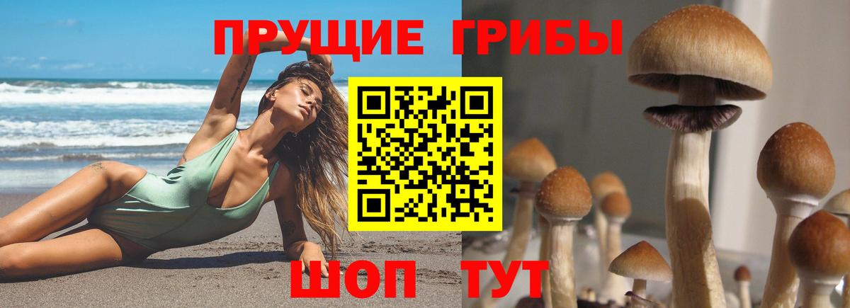 Среднеуральск  Галлюциногенные грибы Psilocybine cubensis  Псилоцибиновые грибы Magic Shrooms  Вход с VPN 
